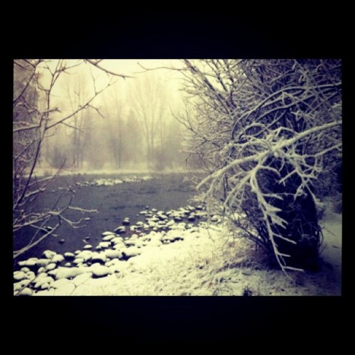 Snow on the Blue River